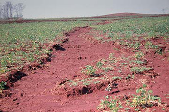 Bodenschäden durch Erosion