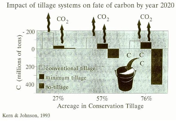 Impact of tillage systems on fate of carbon by year 2020